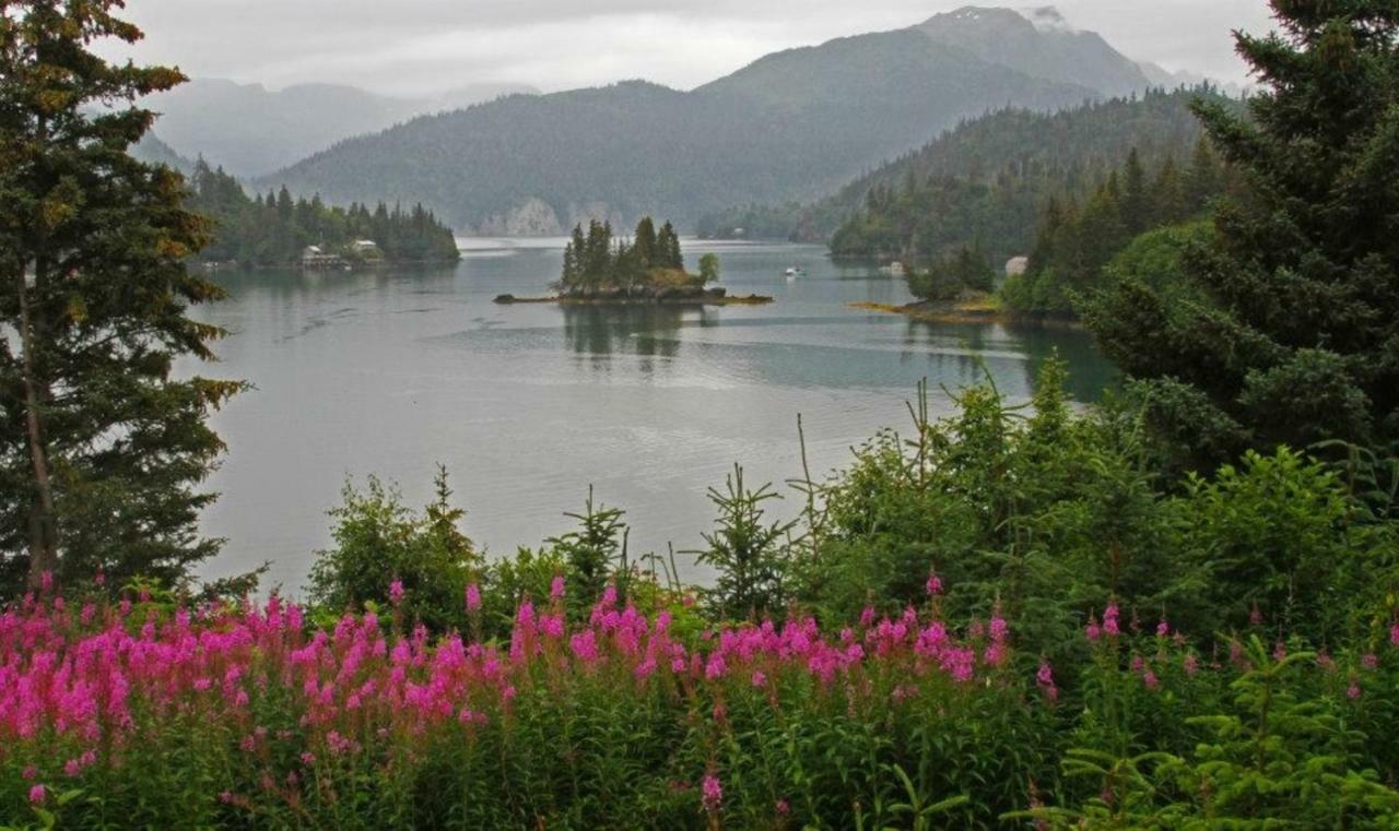 Stillpoint Lodge - All-Inclusive Halibut Cove Екстер'єр фото